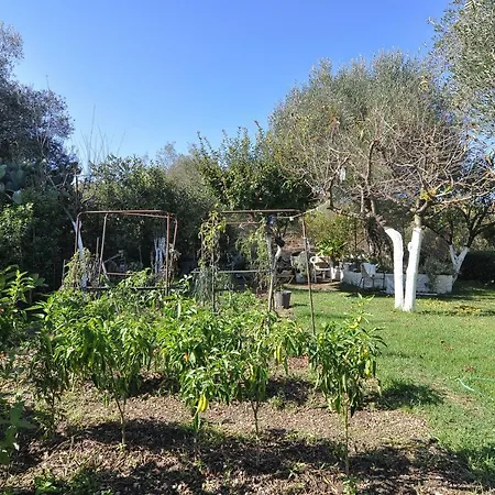 Skafonas Appartement
