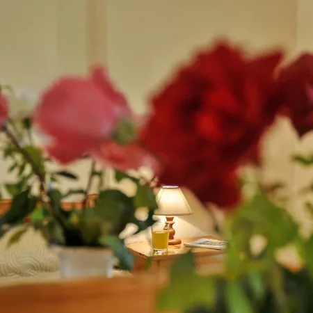 Apartment Skafonas Pelekas