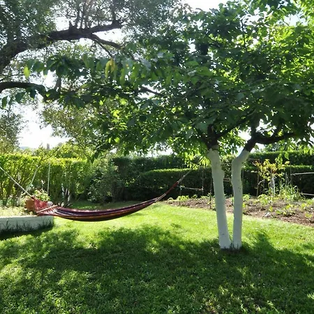 Skafonas Apartment Pelekas